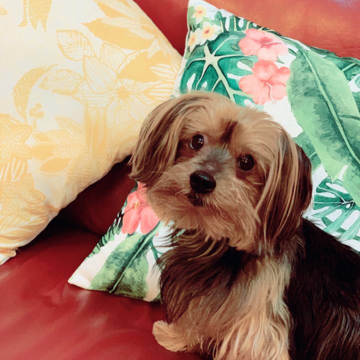 039865e4 13e4 441f b740 d7028848dad1 1556008618562