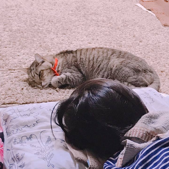 03988ed0 2e89 49cb ad04 02a549830c82 1592554888787