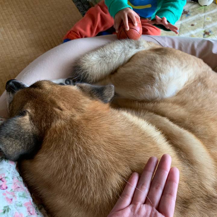 0398980f e734 4a12 965e c650b866a112 1575632179267