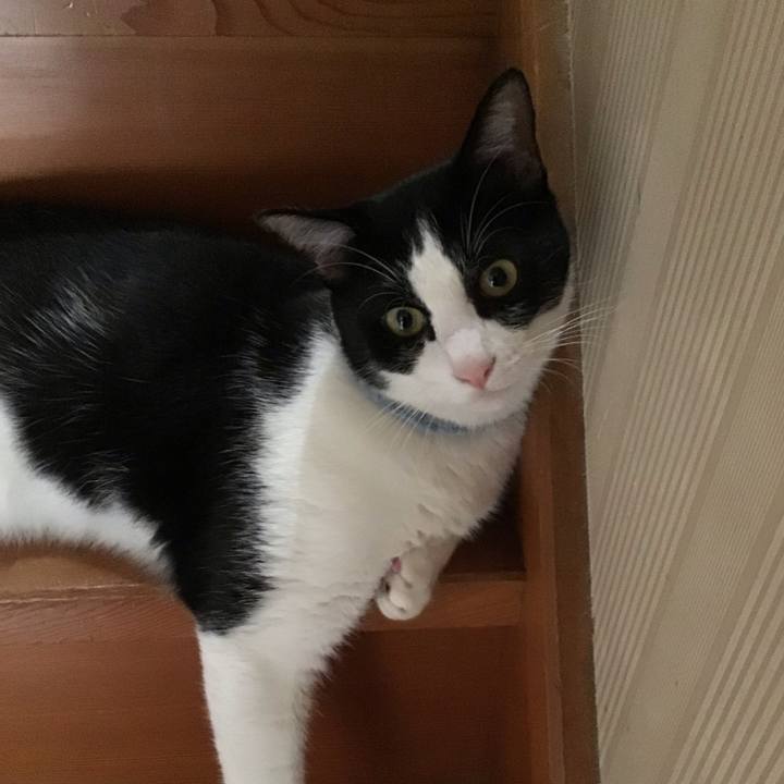 0398d5d9 dd2a 496a 9410 4ff517f95986 1661490505452