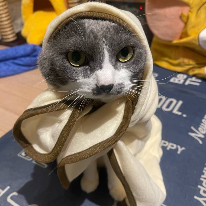 0398df9b 5947 48c2 a95f 37c668d4303d 1731086611630