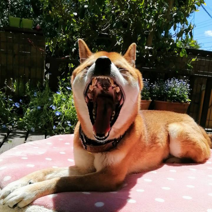 0398e3aa bec1 45ff 87e0 7ef2e31a7783 1587266021981