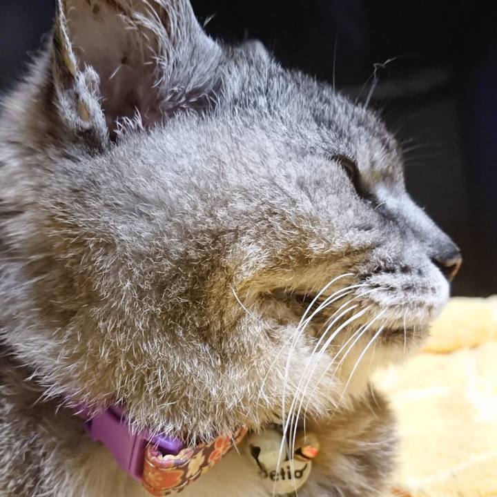 0398e489 dd14 4e40 acd6 4a34f52ade3a 1594115268973