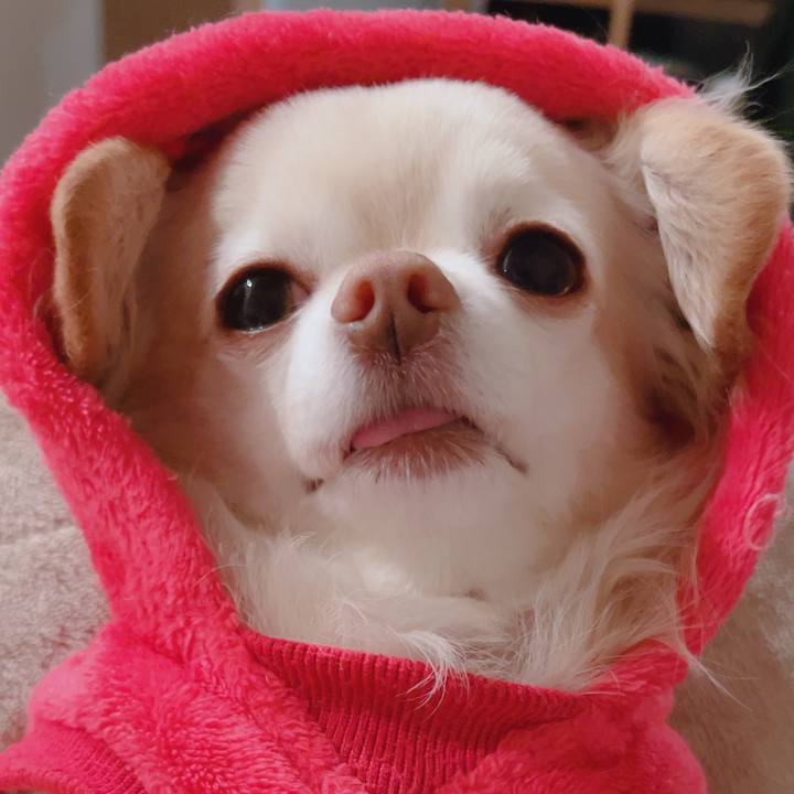 0398f16d 5f66 4e4b 98c7 f5c5fad5ec49 1765529162644