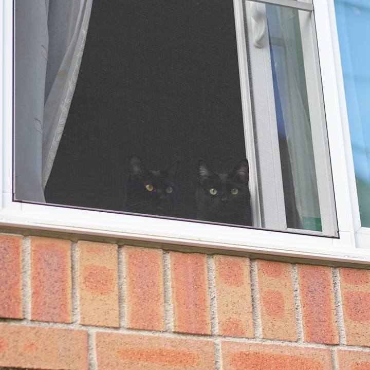 03993ad5 cf97 49c0 a227 de6b73fc5d40 1555545705752