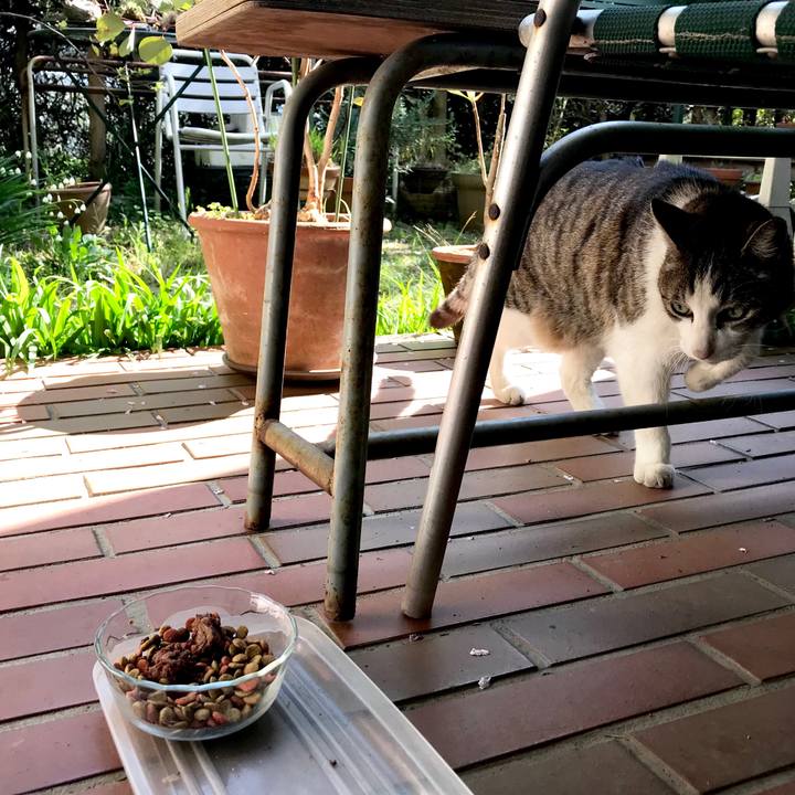 039941e2 2948 4f4f 890b ca87cc300810 1522392151385