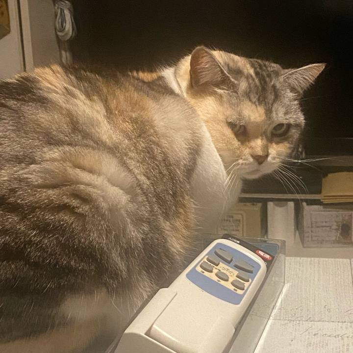 03995881 9ca7 4a3d 82f9 b38051c04b81 1682521353698