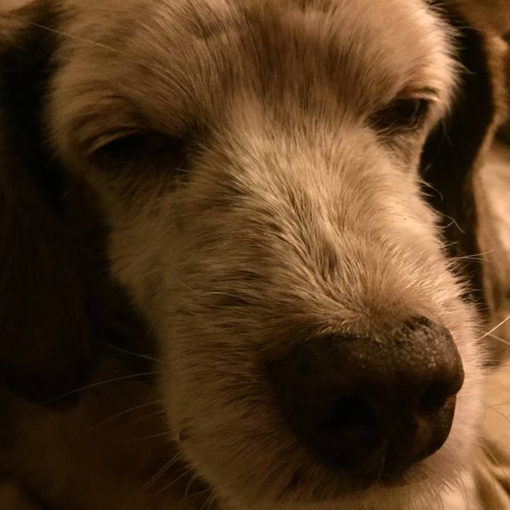 03995f6d 74ac 4888 8e31 7a9df5f5c540 1511804357760