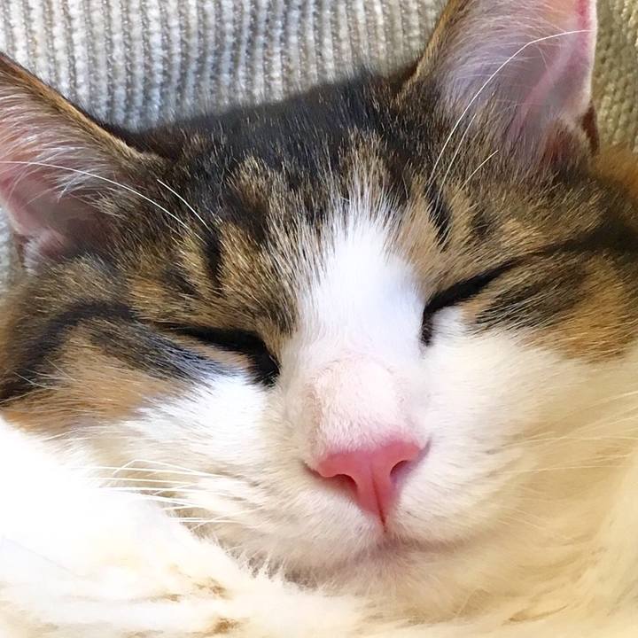 039976a9 0623 473a b39a 518f59573eb1 1523672345314