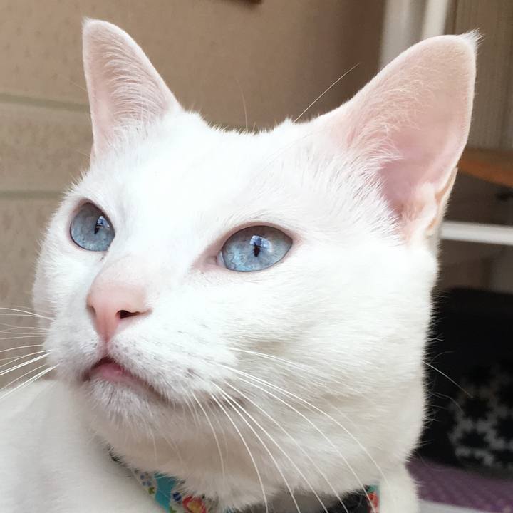 03998a92 b599 49be 9358 88099afb2e86 1553390016112