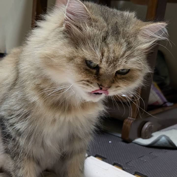 03998f52 31c6 48ba 9ed9 d4de4e2a5440 1726063678203