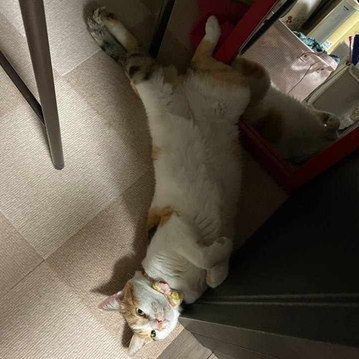 0399af95 e943 45af b595 dddce0d2fa78 1627912066205