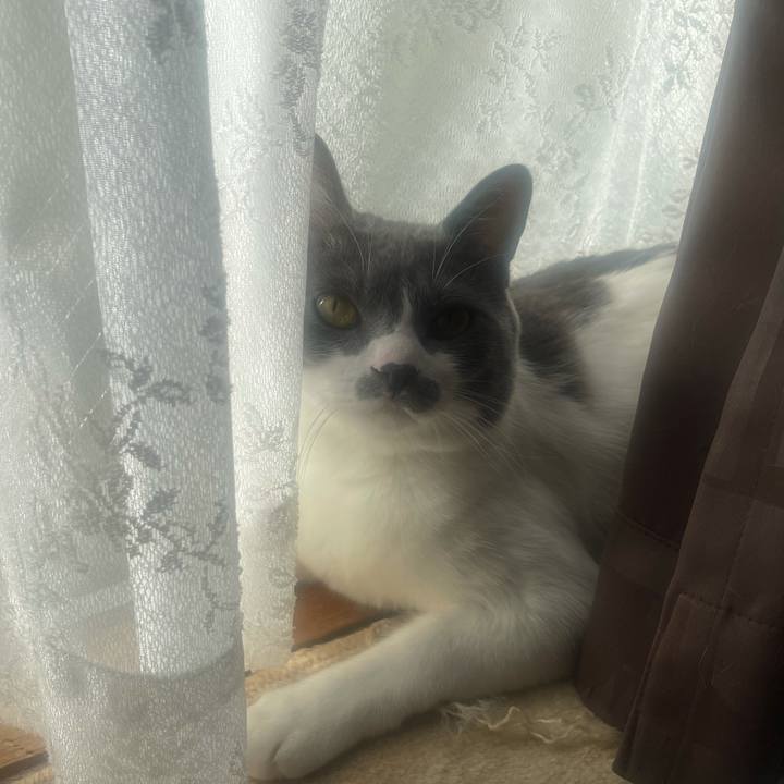 0399f560 f7b7 442e 9d62 dc3f466c07d4 1632356997733