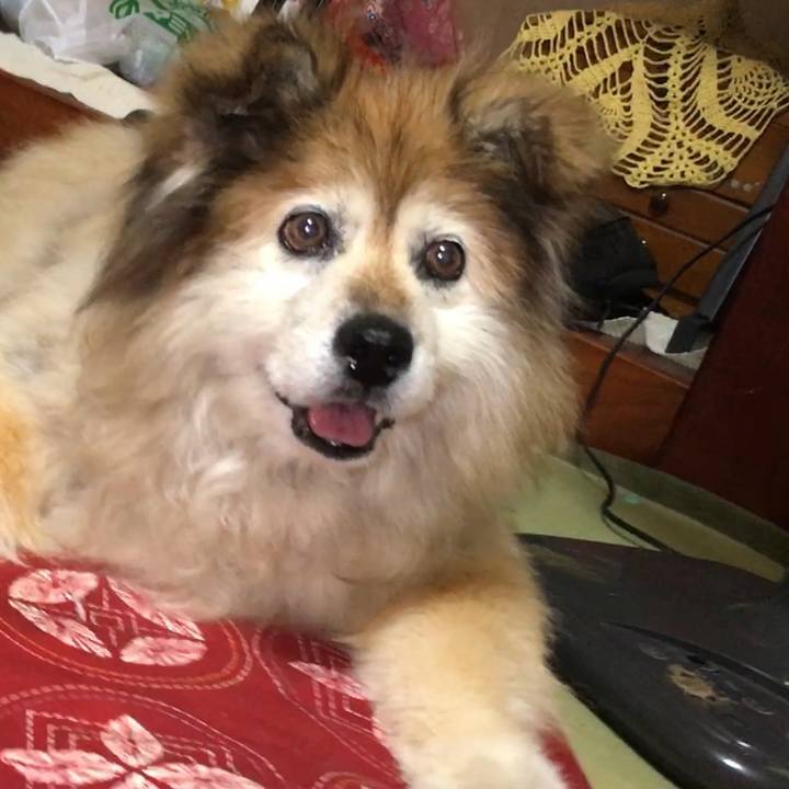 0399ff3a 26a4 4774 9116 5785c43be182 1581215056437