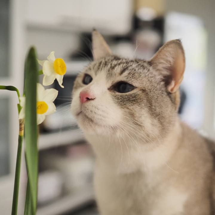 039a0185 0e90 431f a041 3a62bc818ef3 1746424669727