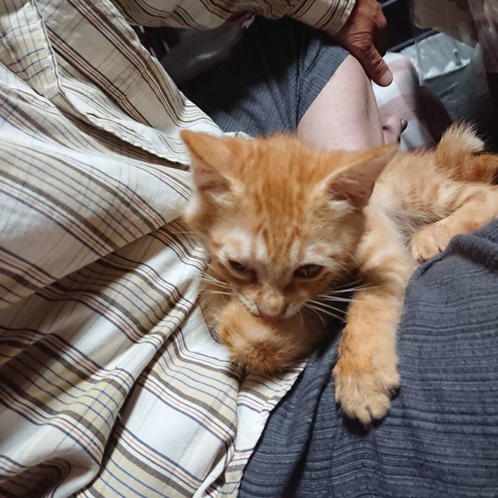 039a15b3 c3df 4429 9970 d3f5bf101cc2 1630612930064