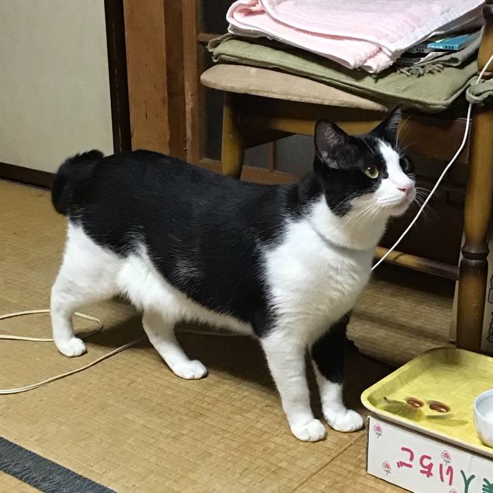 039a219a 96f8 42a5 89af eabd21ab6765 1695214040570