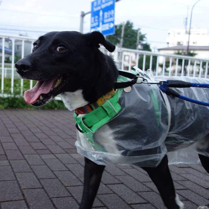 039a39f7 6751 4915 a92d 8518f99749e0 1595757860300