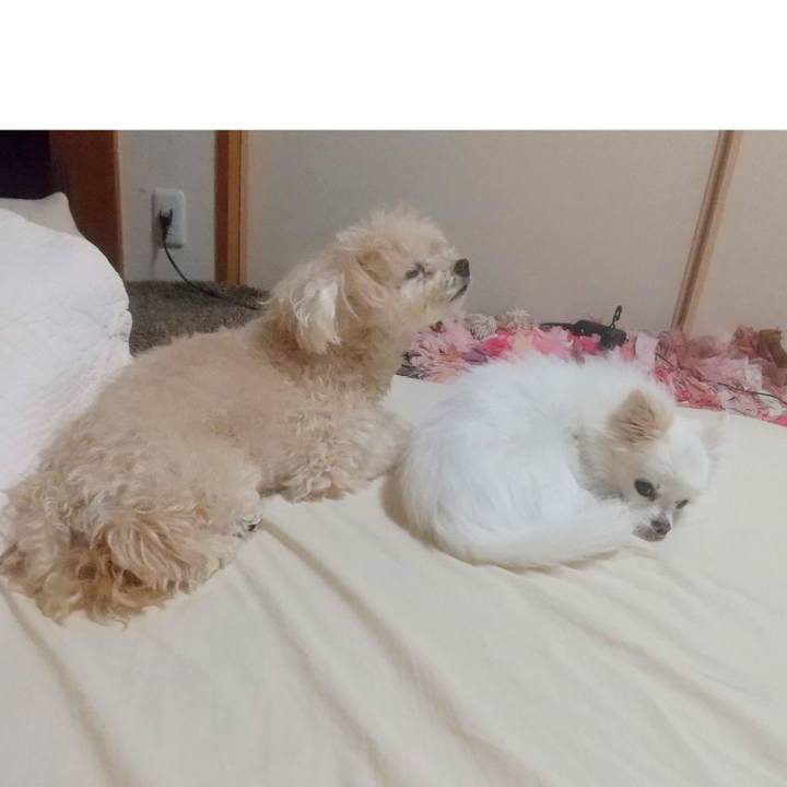 039a5470 6db6 44ba 9cb8 344564b92aba 1658496646114