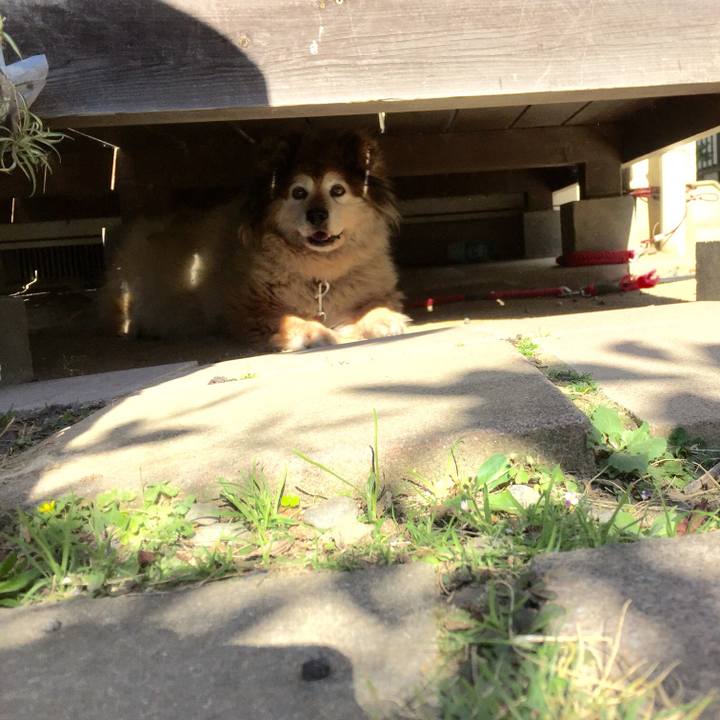 039a6f99 6687 4c94 816d bc3b95480504 1548547164009