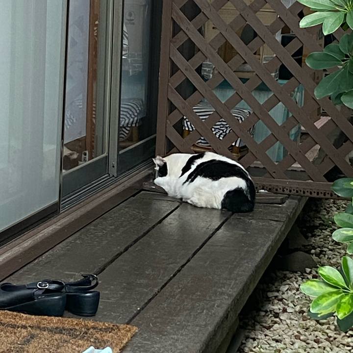 039a7c31 f07a 43a8 baea 10ebbb2d60f9 1666507128051