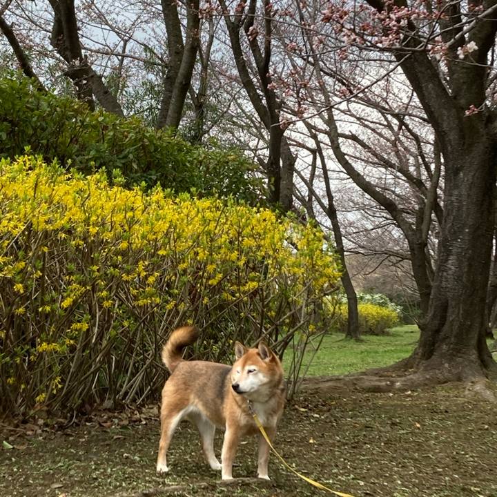 039a9417 3419 4cce a5d6 69b44dc71e71 1648265914552