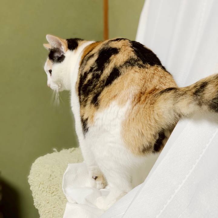 039ab8aa accb 448a add4 3787c8dfcda7 1550458299528