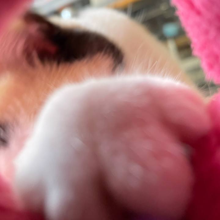 039abe16 b66d 4038 9f46 102223314867 1745884714214