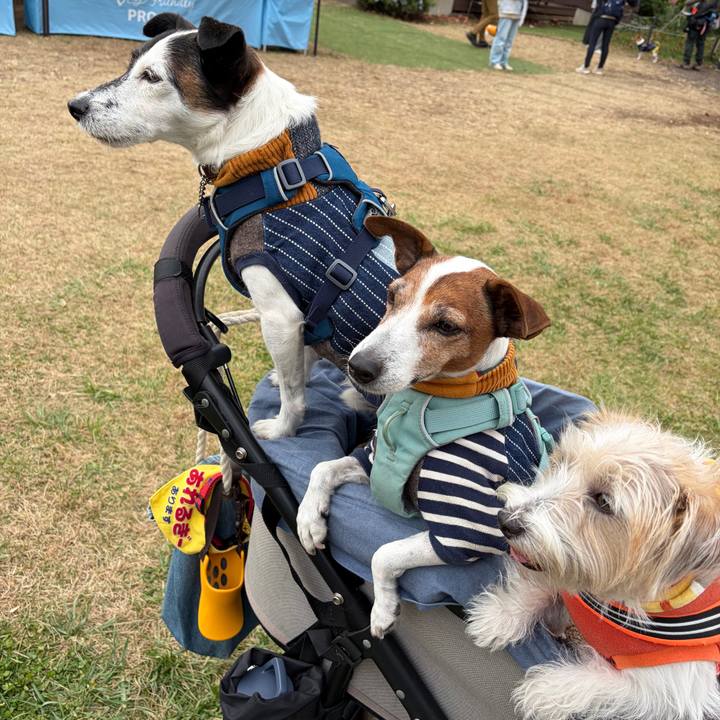 039b023b 6327 4046 b33a 467225560a0c 1763903221767