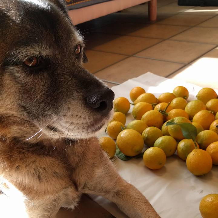 039b39a3 2818 494e af57 23542c2d546c 1705193952981