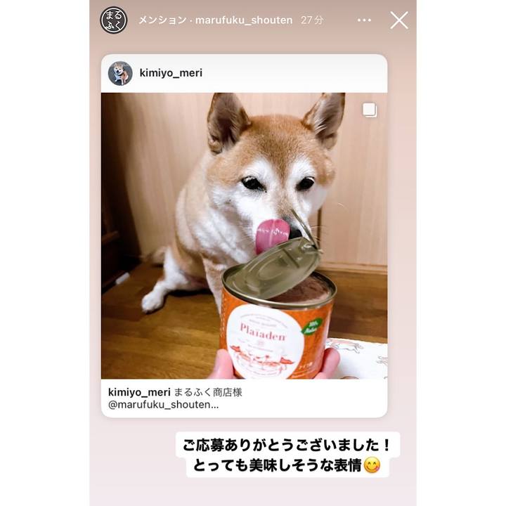 039b482e e9ea 40b1 b7ff 62a07933408c 1721894536266