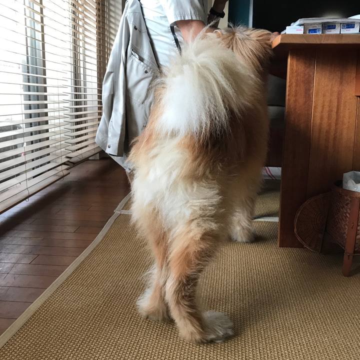 039b7aea fdf9 46f0 beb0 716ea93031d7 1621752432428