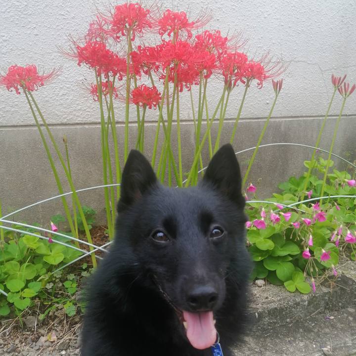 039b8476 7787 4f2e 80b1 c985d1b32843 1632091921746