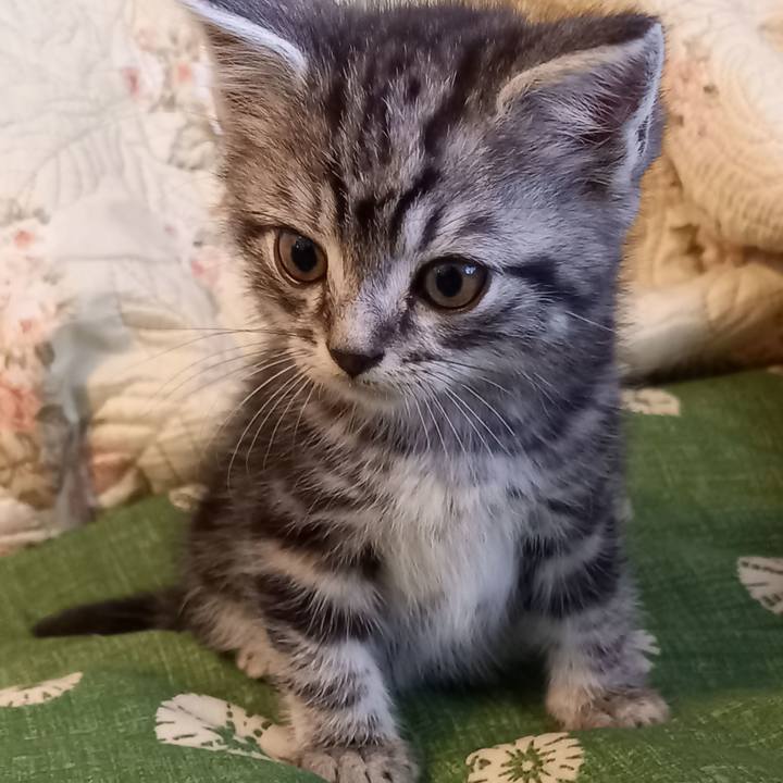 039b8d00 1ee6 4bce b43b 7b2c0d0be3b3 1621120151963