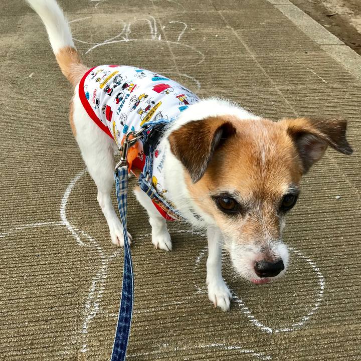 039b92df 010e 4096 89f5 f931b5538137 1568511630403