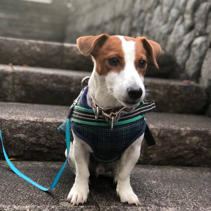 039bd012 fb67 4396 9121 52195a306d84 1604478728737