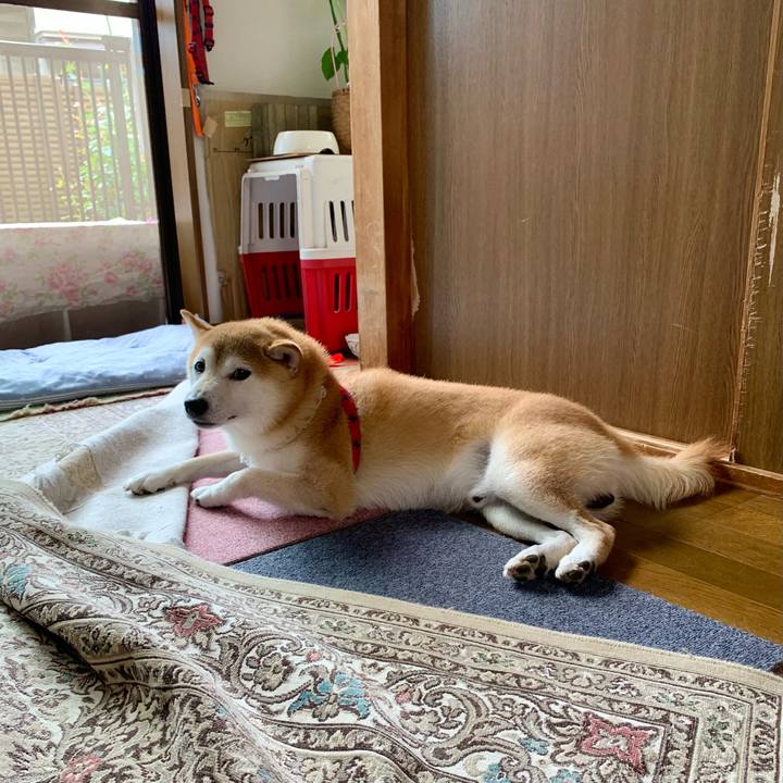 039bd5ff c0dd 4dde bebe 5668b8d670a7 1662633643987