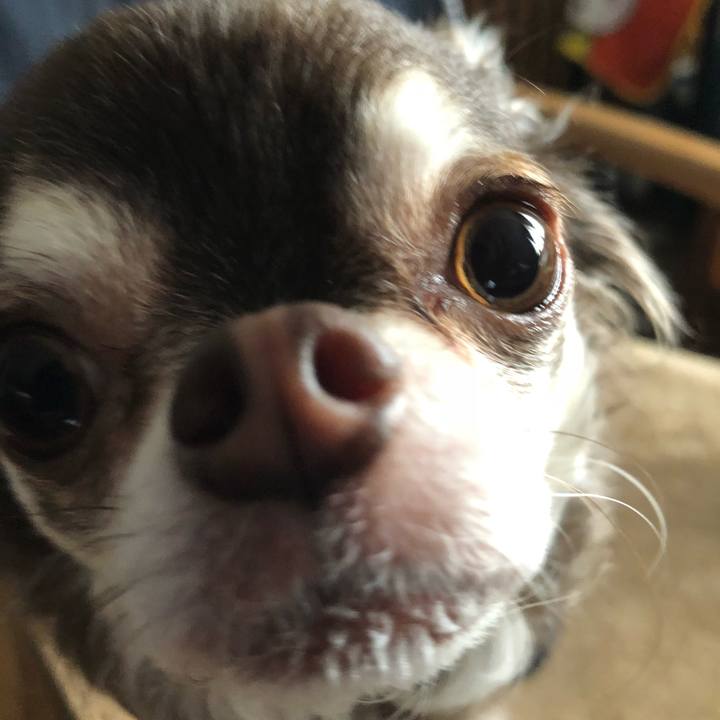 039bfcf0 7485 419b b9f7 8ca89aa1d618 1520631905063