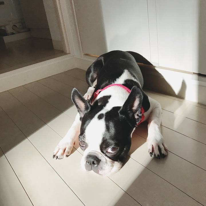 039c1430 48e4 4c4b ac79 3df716d6a4e6 1526977129300