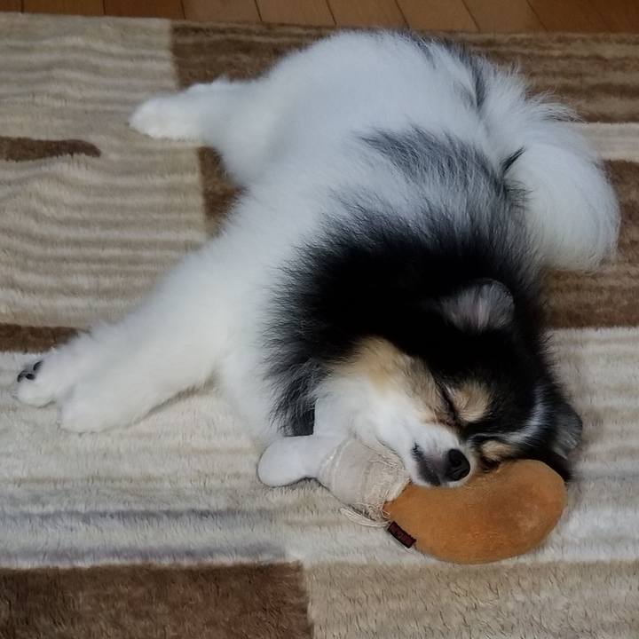 039c32d6 2c0f 4969 97f2 86add284eba0 1563022641985