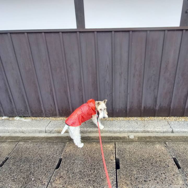 039c3e46 78cc 474c 86a4 42a0ef78943f 1618648286934