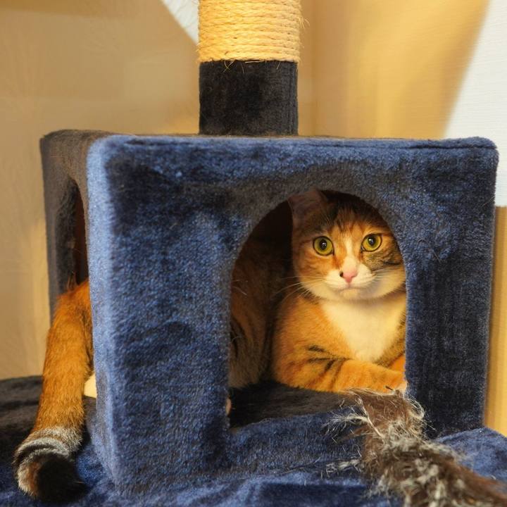 039c6590 2f7e 4f95 a3bf aa52a3f5eef9 1600265552873