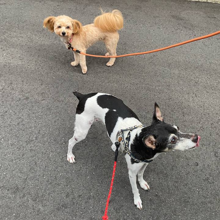 039c8f0d add2 4147 aa52 88a826afa724 1629756490507