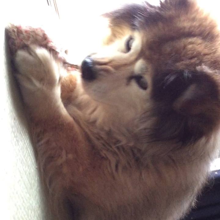 039c96e7 56df 48a1 aae5 8f80b1a64374 1550099687245