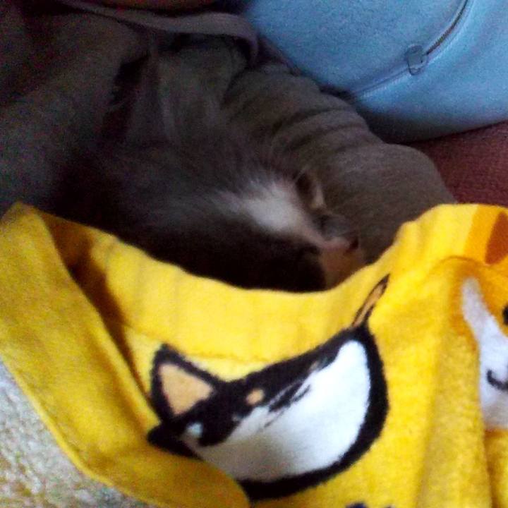 039cad41 5793 4ce1 a93c 3c07108715ad 1593329343883