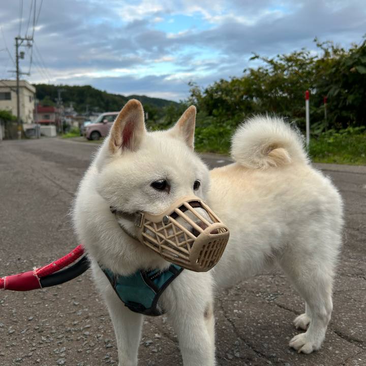 039cbcff 0475 455e 828c 321904166888 1756069926857