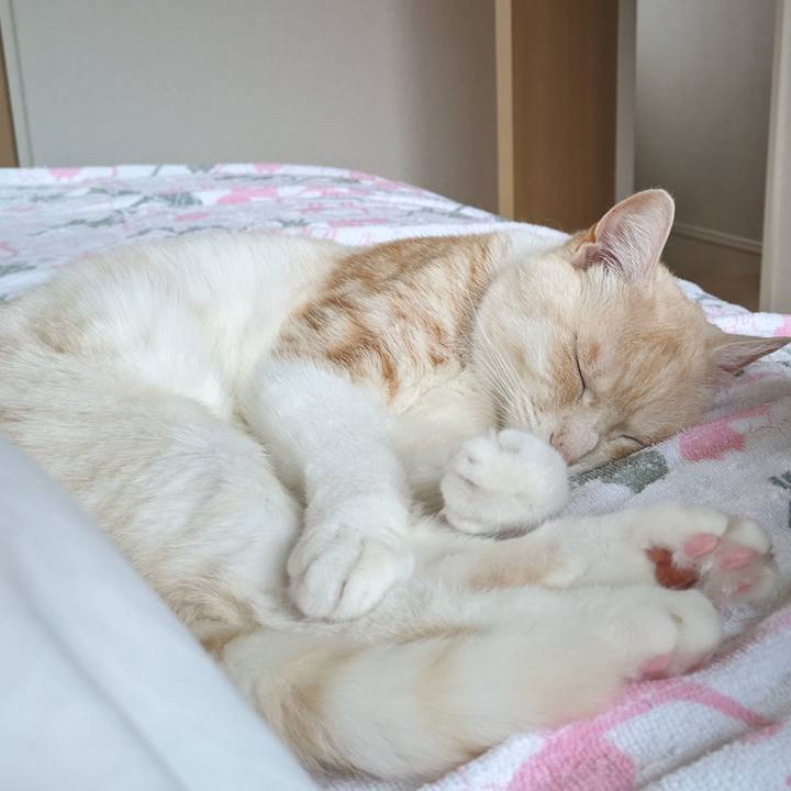 039cdd07 1317 4fdf a16a 80418d7eb4af 1716907505924