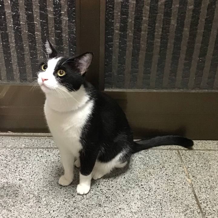 039cf1f4 37ab 4183 b748 51839360f12f 1694346818623