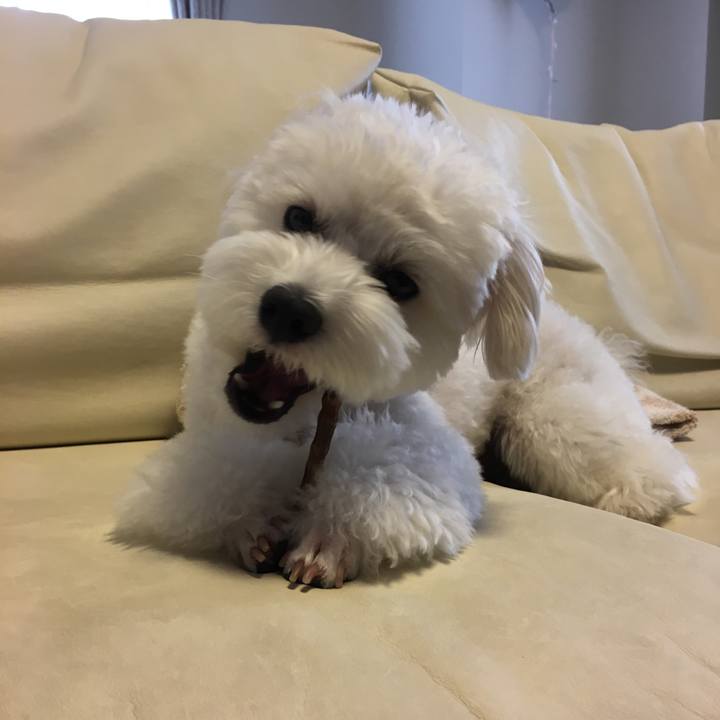 039d3122 3423 4bdb b6fb 8b69e2ab05e4 1537428763130