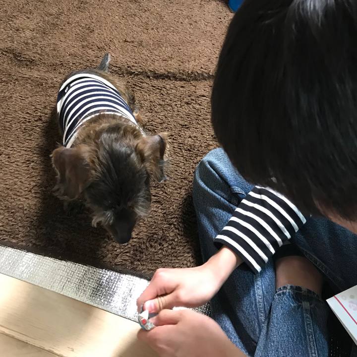 039d3602 89ad 442b a71e f23199929726 1523777047354